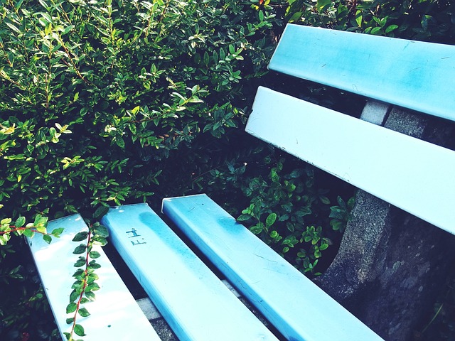 亚当斯带领 亚当斯带领