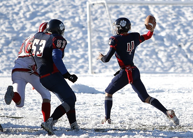 伦纳德的回 伦纳德的回