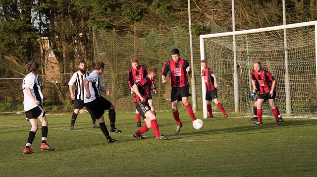 能力和竞争 能力和竞争