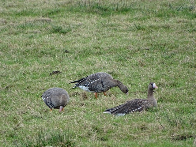 核心理念 核心理念