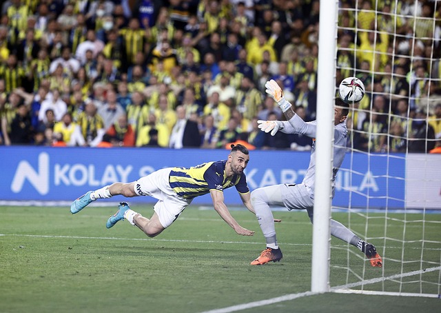 也為其他體 也為其他體