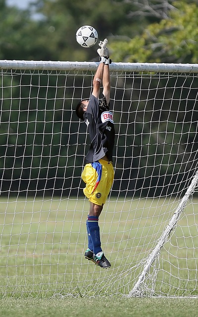 的編年史 的編年史